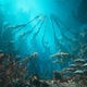 An Atlantean battle from Aquaman.